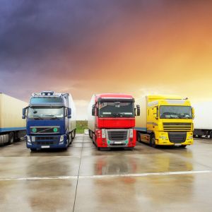 Transport w Warszawie, Polkowicach, Lublinie i okolicy